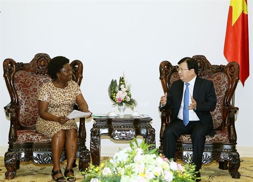 Deputy Prime Minister Trinh Dinh Dung receives WB Vice President - ảnh 1